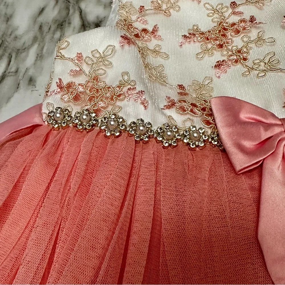 American Princess Pink Tulle Dress Sz 6 Floral Jacquard Jeweled Waist Fancy Gown